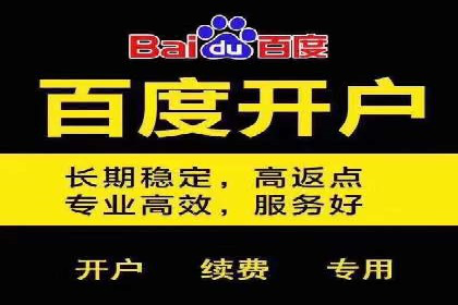 关键词竞价排名实战案例分析及优化